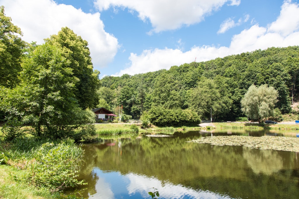 Protestantische Altenhilfe Westpfalz