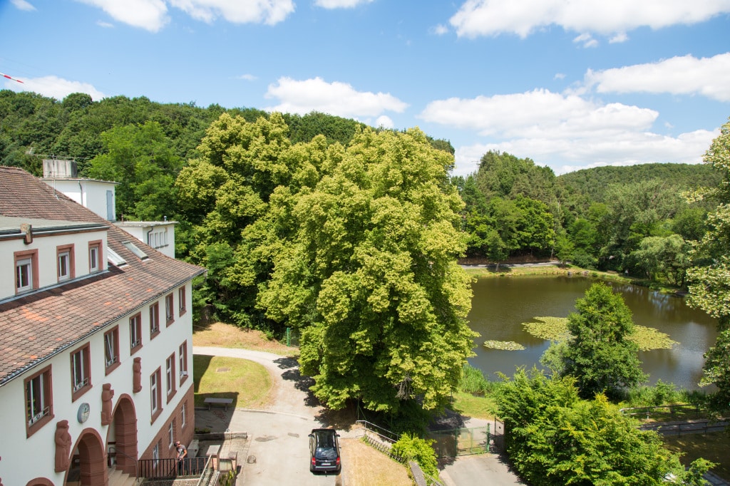 Protestantische Altenhilfe Westpfalz