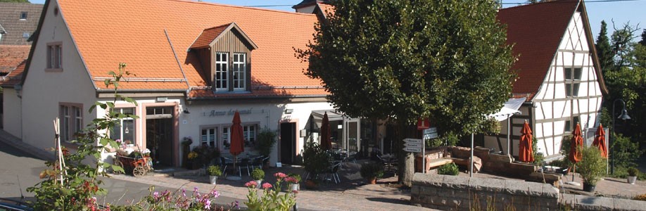 Donnersberg Ausflug