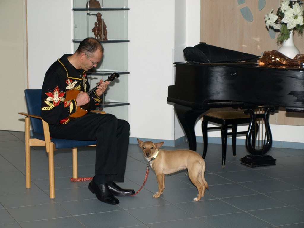 Konzert Vladimir Vinogradov