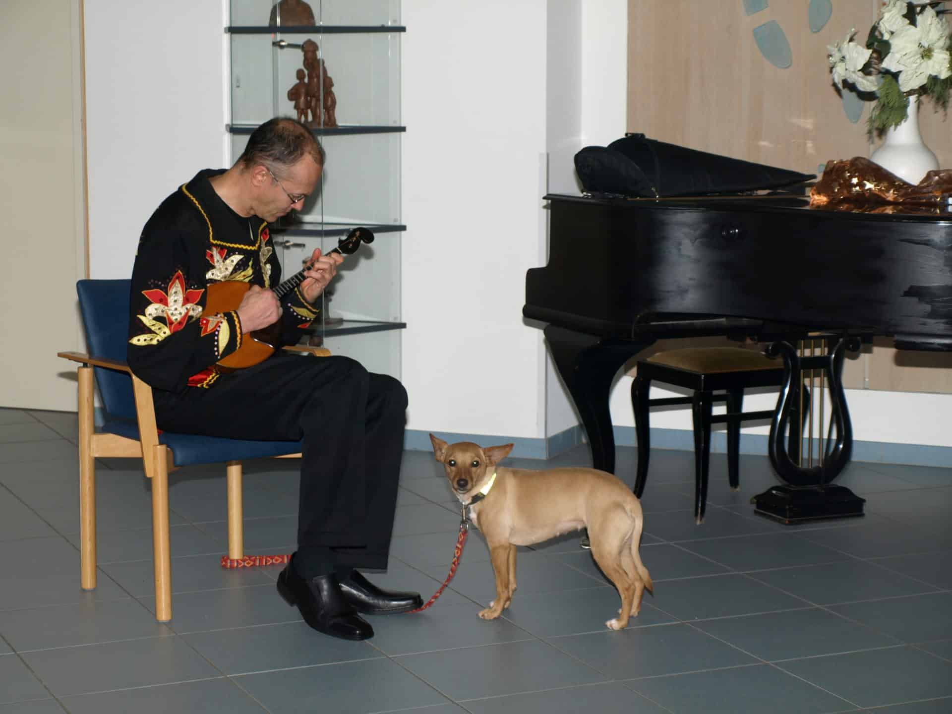 Konzert Vladimir Vinogradov