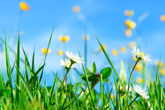 Sommerfest im Haus Zellertal