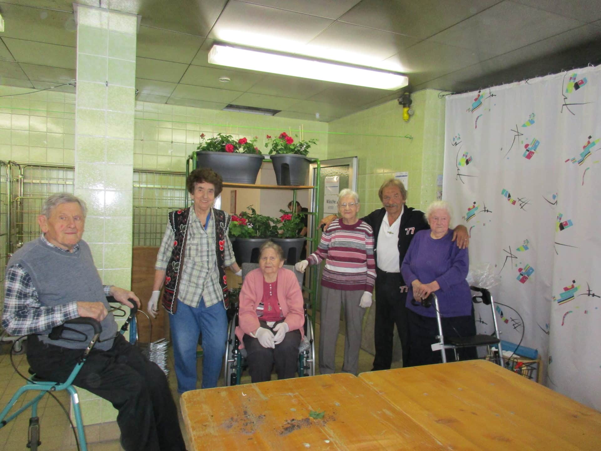 Balkonkästen bepflanzen im MennoHeim