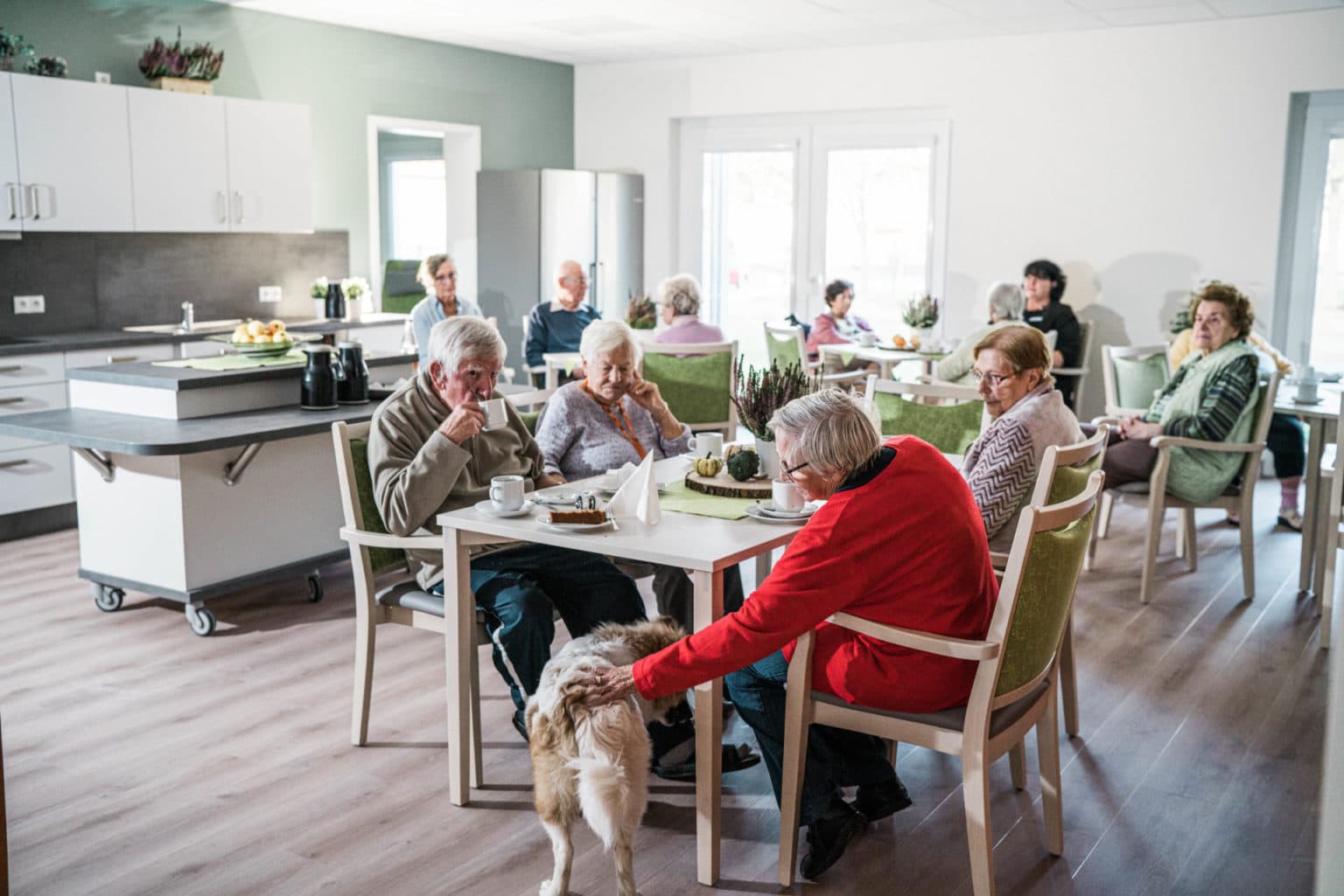 Diakonissenhaus Am Stadtpark Protestantische Altenhilfe Westpfalz Diakonissenhaus am Stadtpark in Kaiserslautern – Protestantische