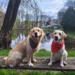 Zu Besuch: Emmi, unsere Therapiehündin