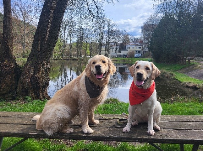 Besuchshund Emmi im Altenheim Haus an den Schwarzweihern, Enkenbach-Alsenborn.