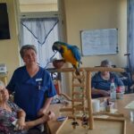 Ein gefiederter Freund zu Besuch: Nesets Papagei Pascha begeistert unsere Bewohner:innen