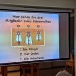 Bienen & Honig: Ein unterhaltsamer Vortrag