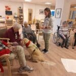 Ein tierischer Gast auf unserem Wohnbereich: Besuchshündin Fine